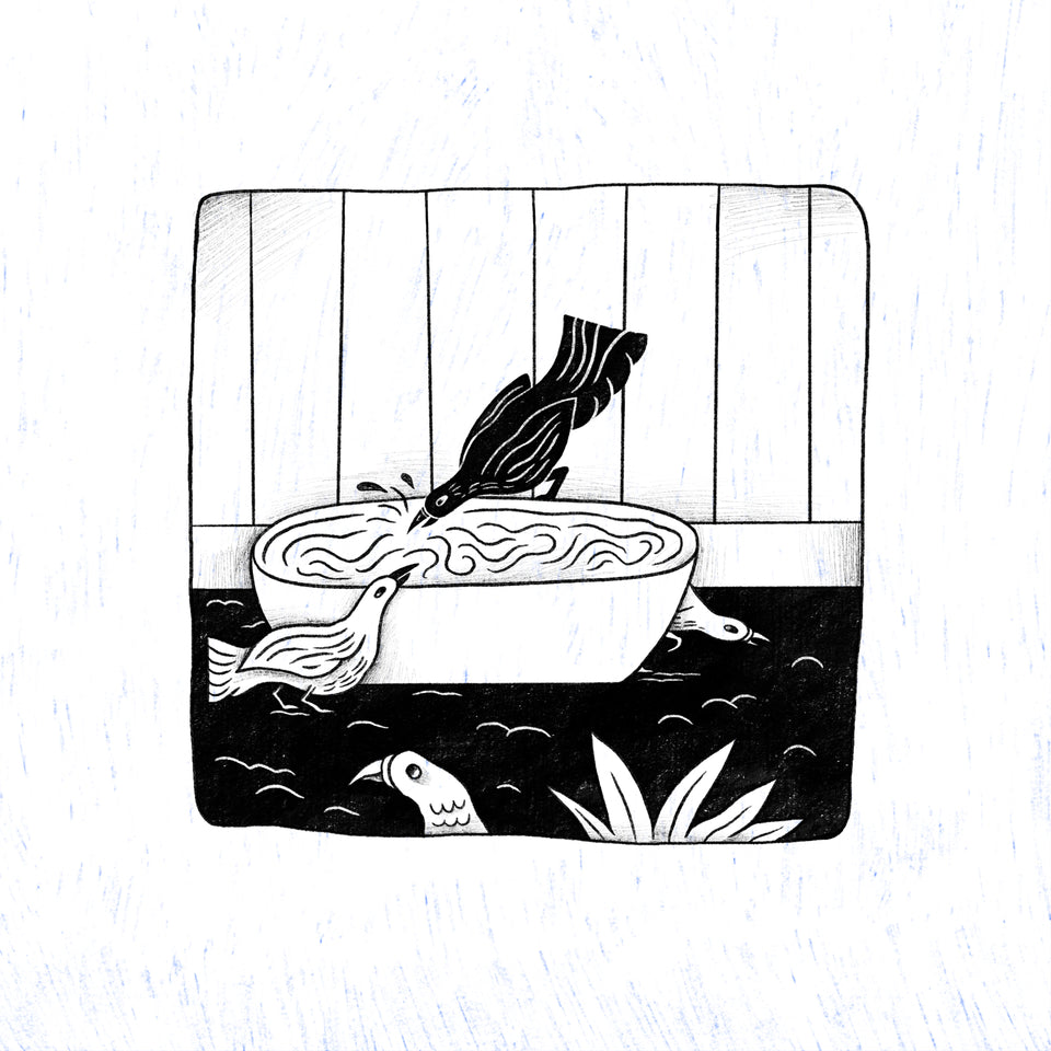 Sketches Without Context Vol 5